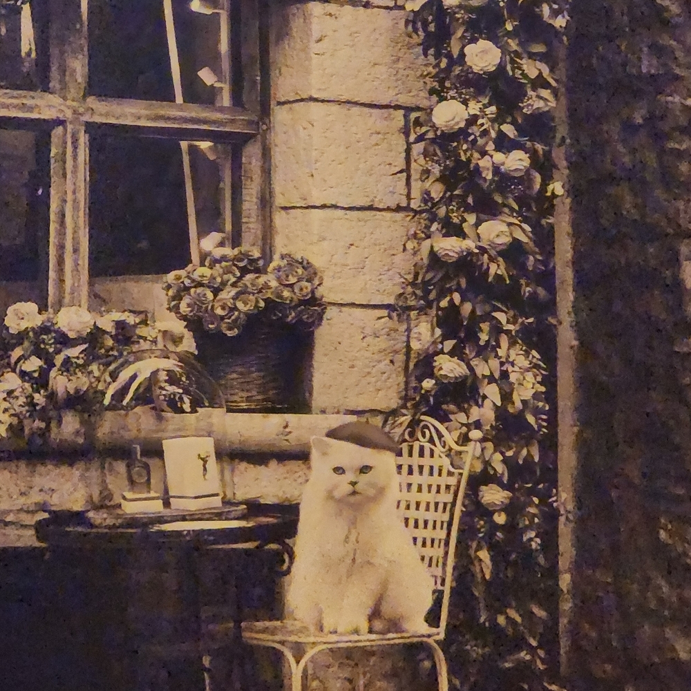 DECORATIVE CANVAS: French Cat ♡